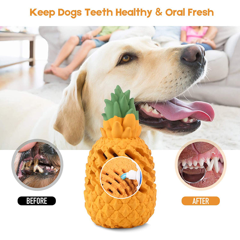Keep dogs teeth healthy and oral fresh
