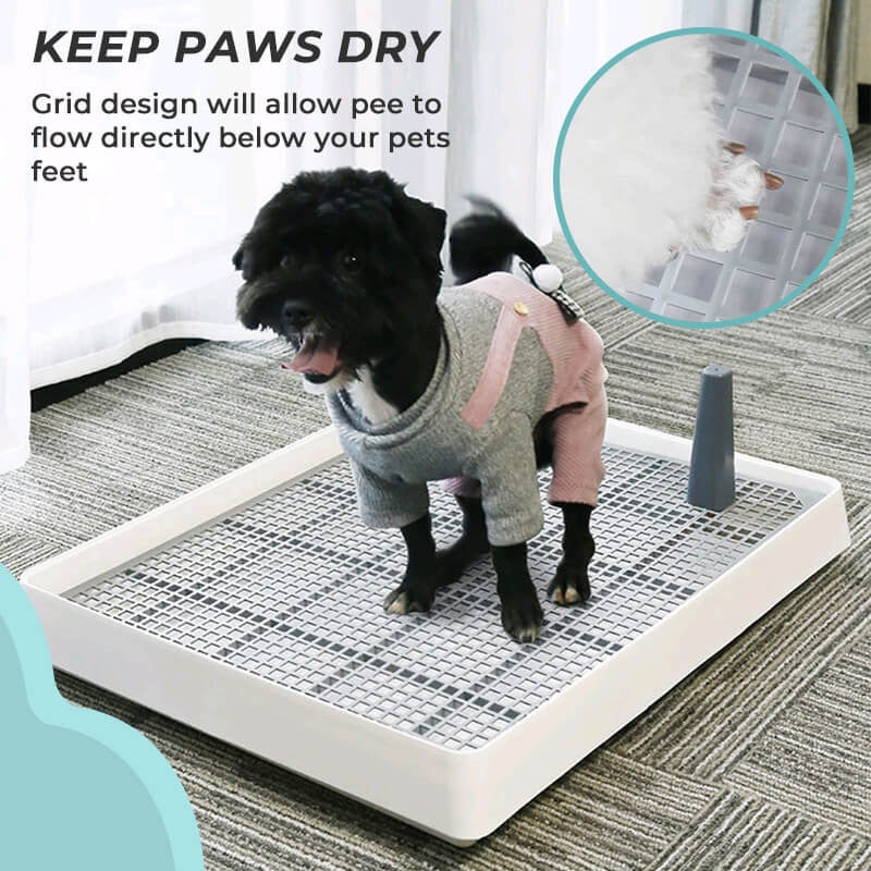 Portable Dog Training Toilet - Keep paws dry