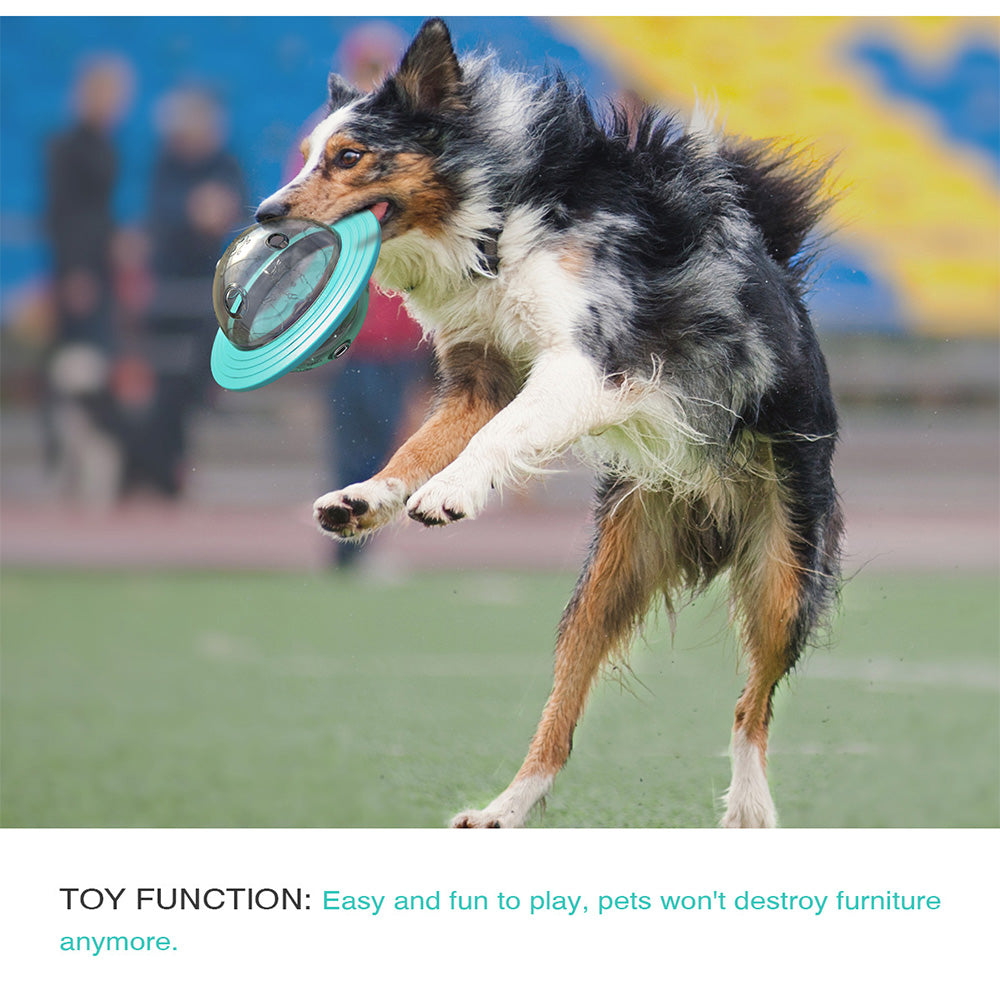 Toy Function