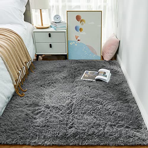 Ophanie Small Throw Rugs for Bedroom, 2x3 Non Slip Mini Area Rug,  Affordable Fluffy Grey Carpet, Door Entryway Indoor Inside Front Entrance  Dog Mat