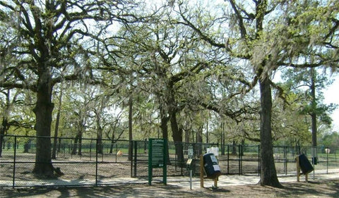 The park