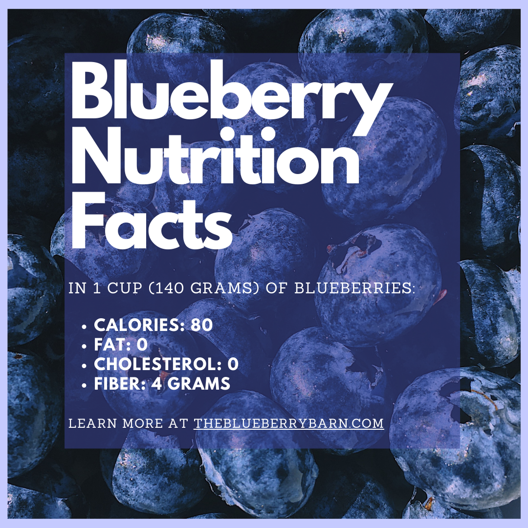 Blueberry nutrition facts by The Blueberry Barn 