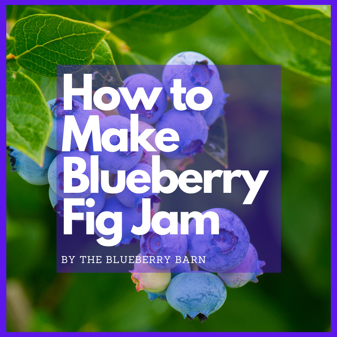 read how to make blueberry fig jam 