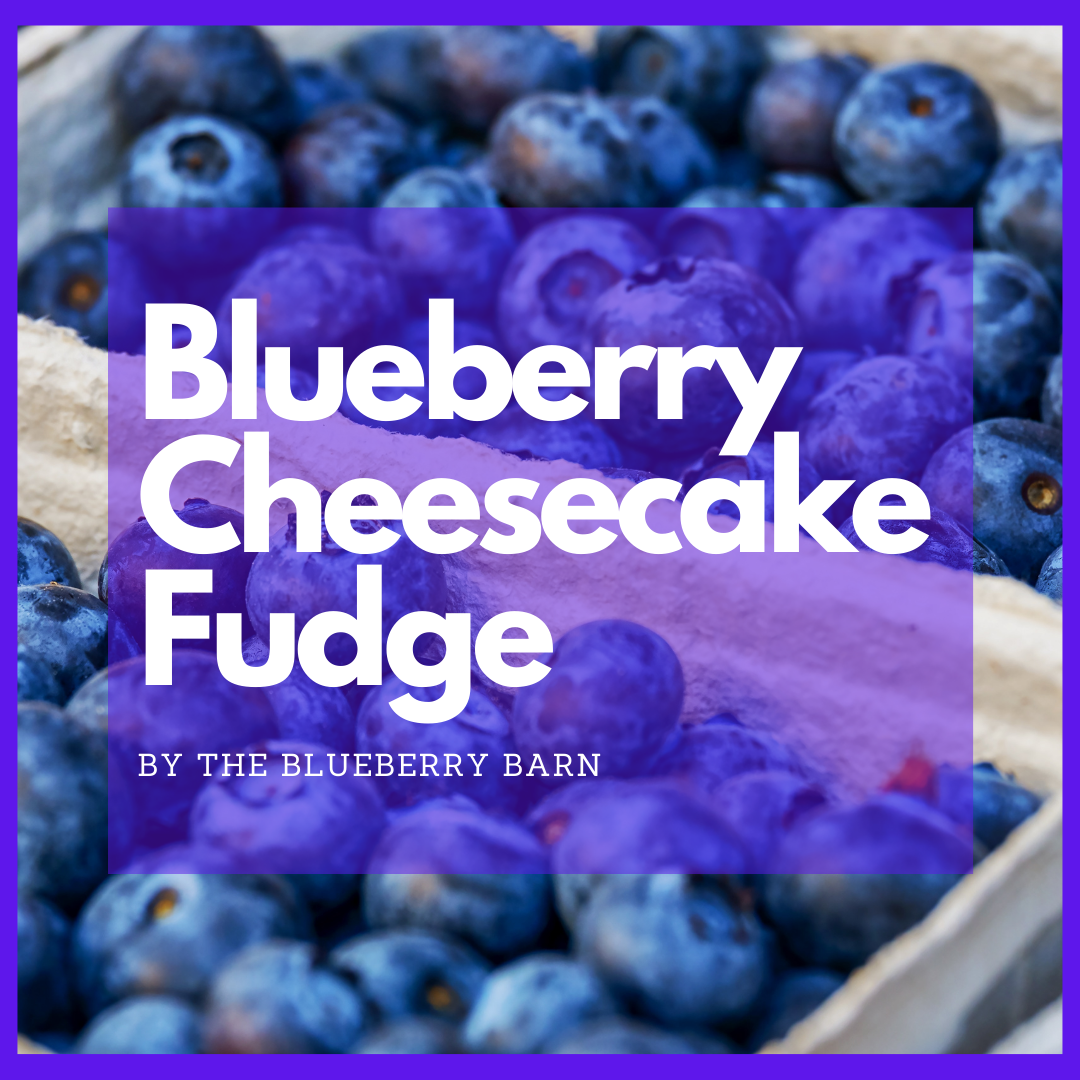 recipe for blueberry cheesecake fudge
