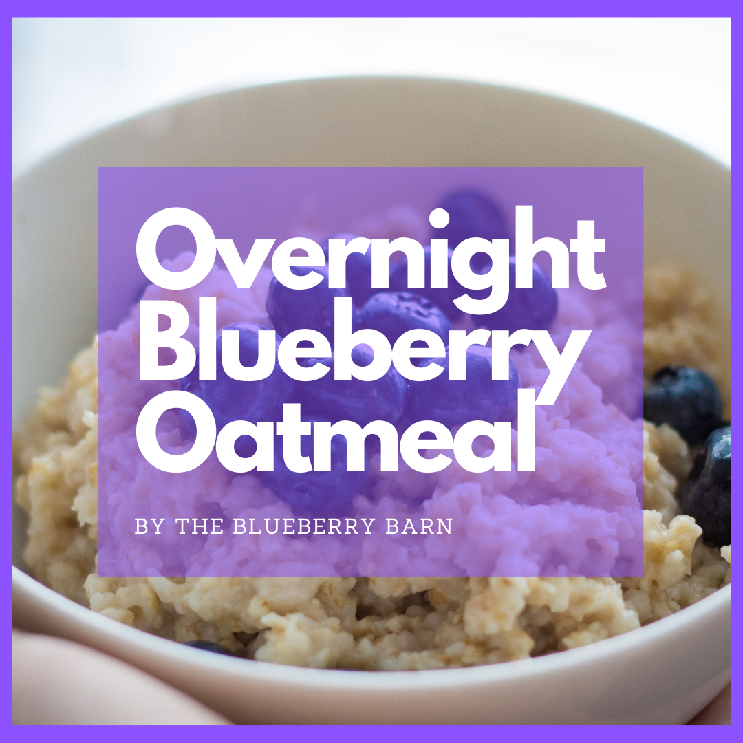 recipe for easy overnight blueberry oatmeal 