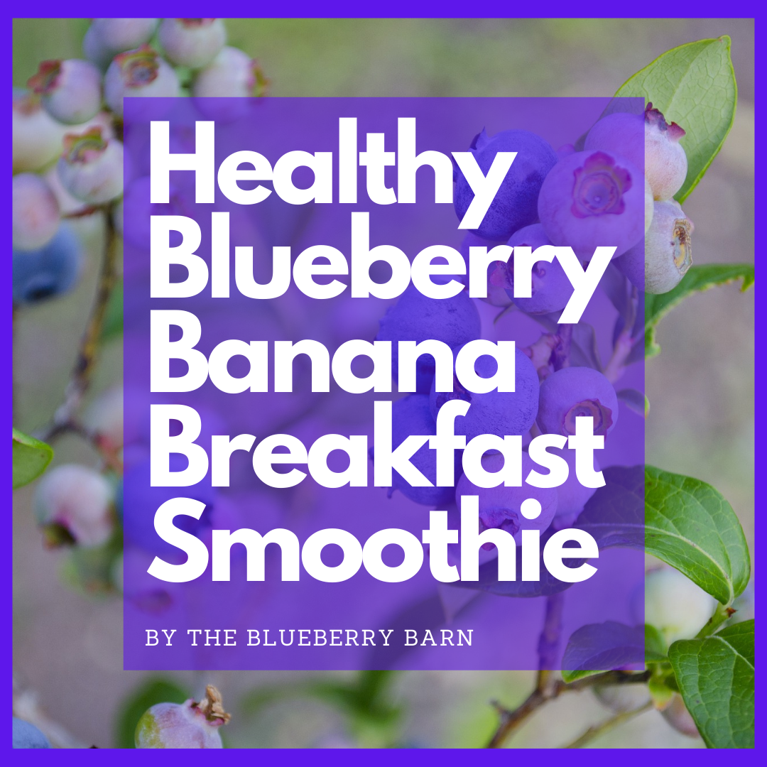 recipe for no sugar added blueberry breakfast smoothie