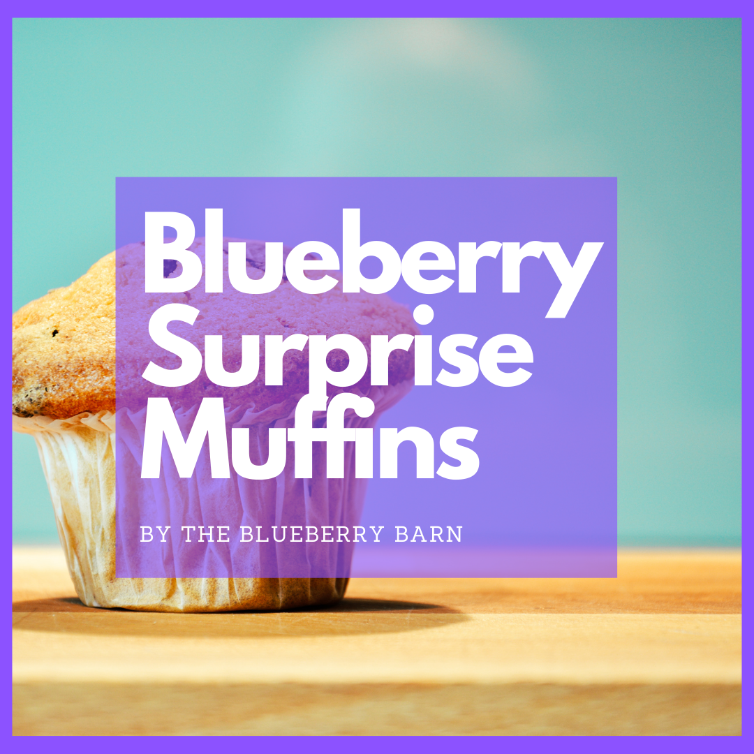 award winning blueberry muffin recipe 