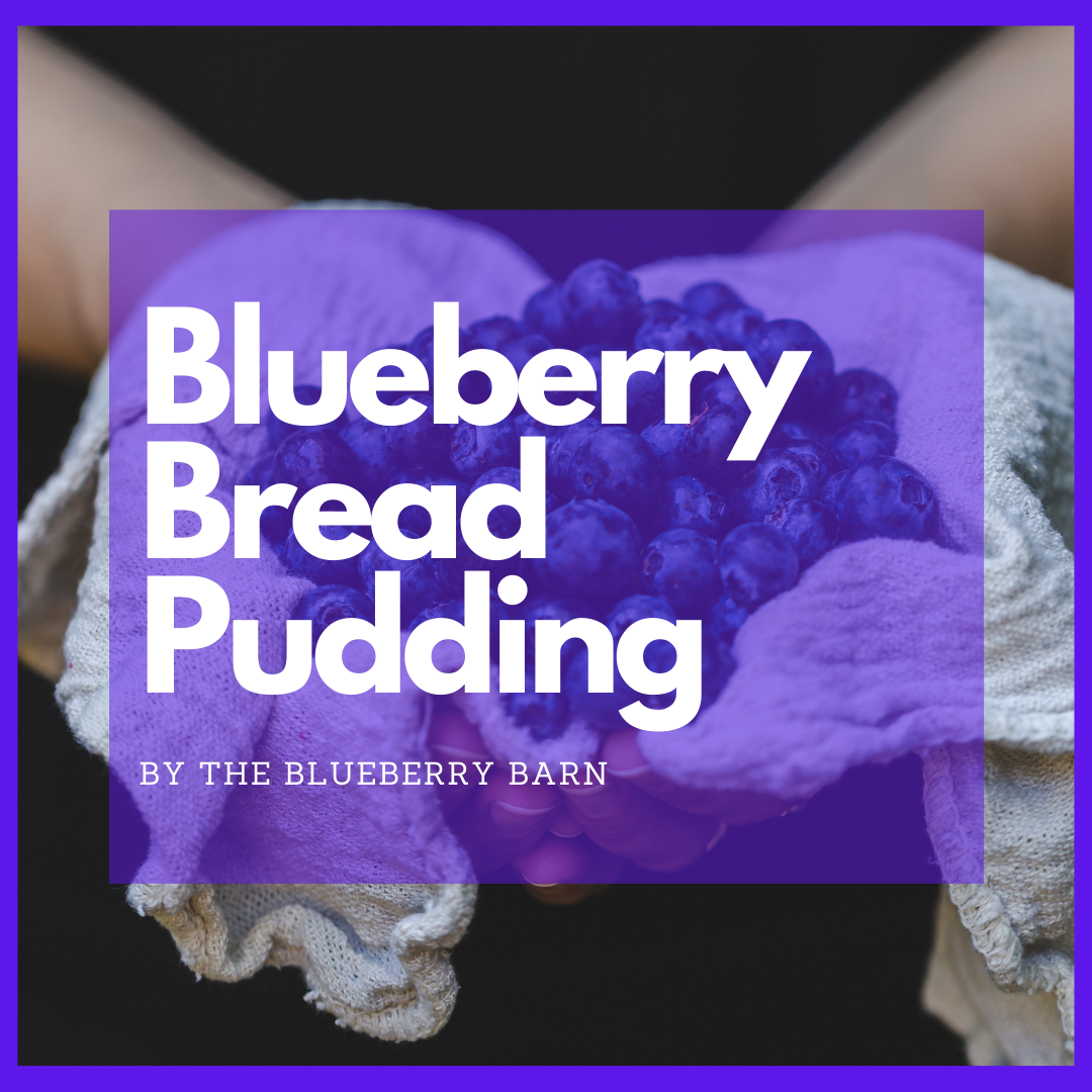 recipe for blueberry bread pudding 