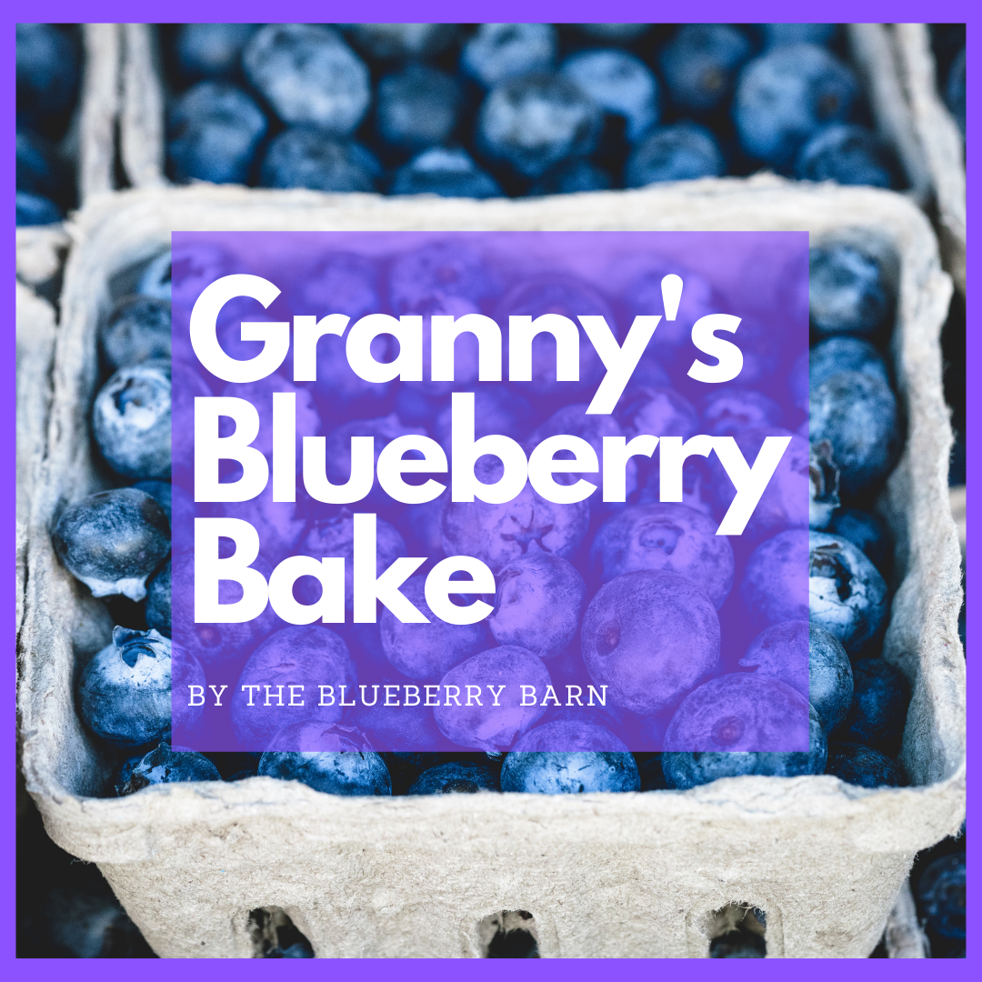 recipe for a blueberry dessert just like grandma made