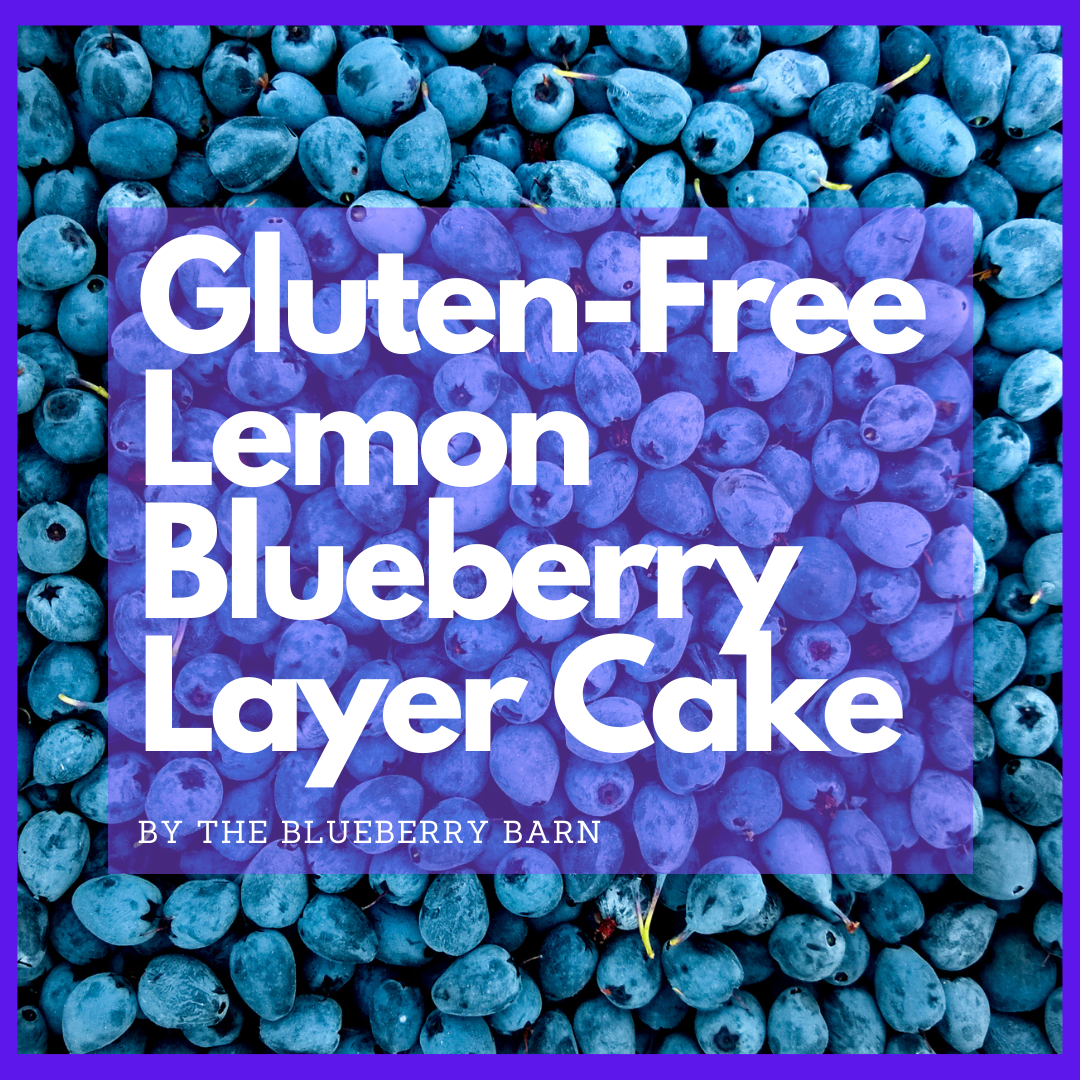 recipe for gluten free blueberry layer cake