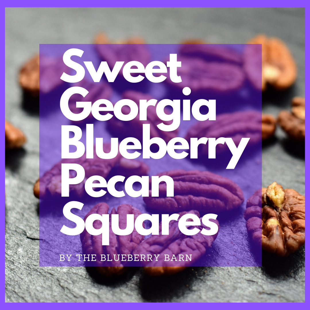 recipe for homemade blueberry and pecan squares 