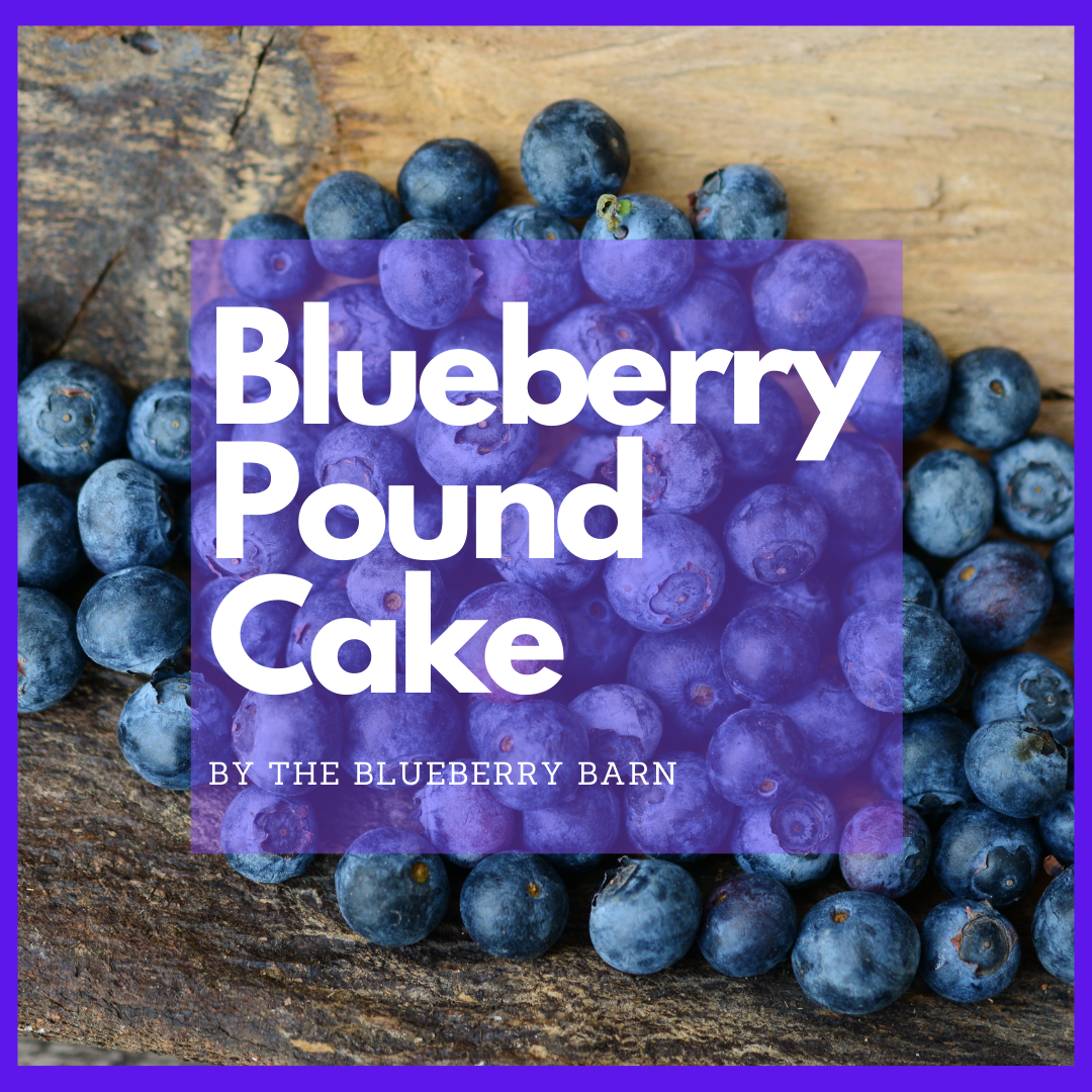 recipe for homemade blueberry pound cake 