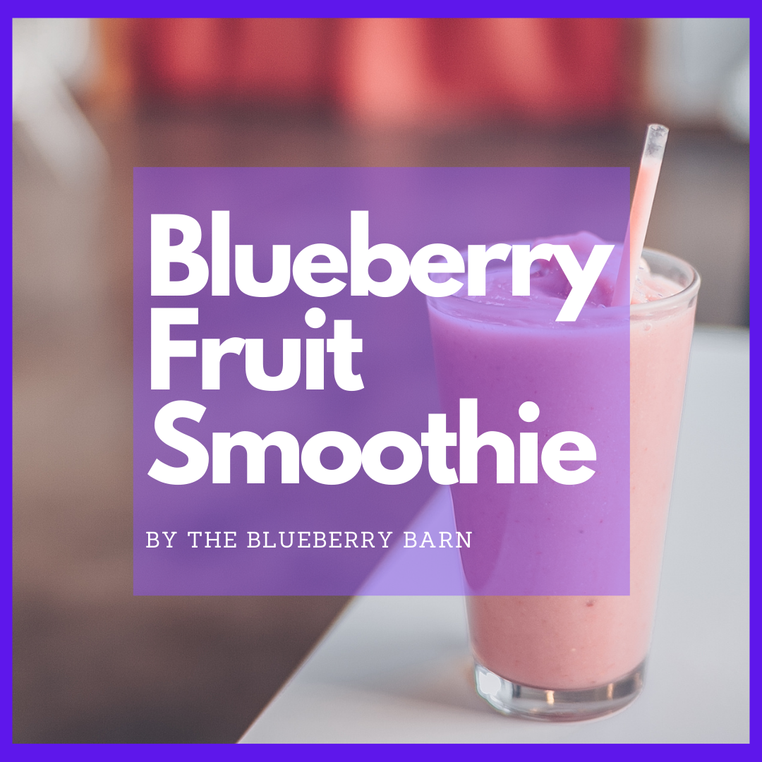 ice cream blueberry smoothie recipe 