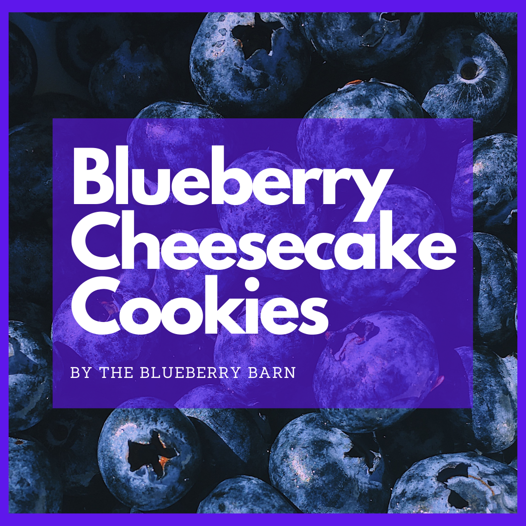 recipe for easy blueberry cookies taste like cheesecake