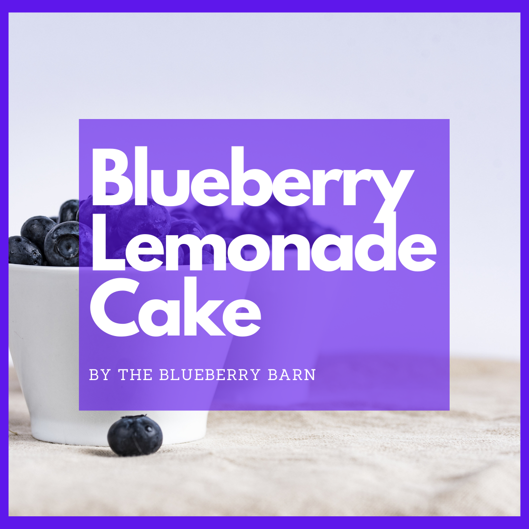 recipe for blueberry lemonade cake farm cooking 
