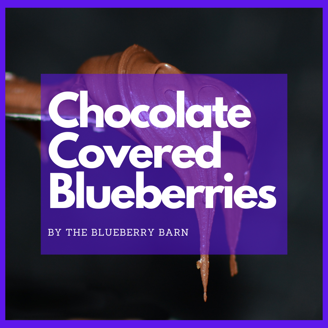 see why chocolate covered blueberries are so healthy