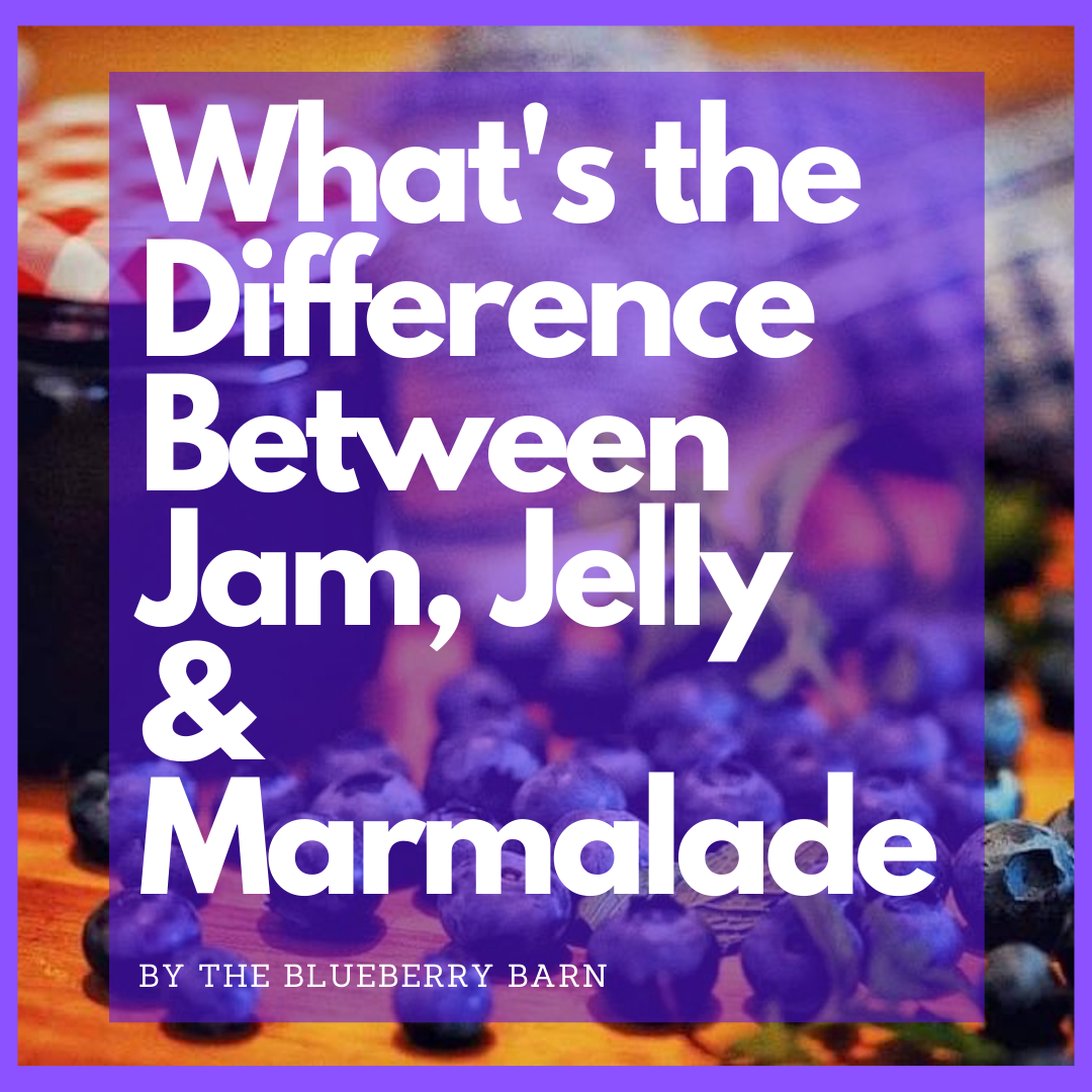 why are jam, jelly and marmalade different?