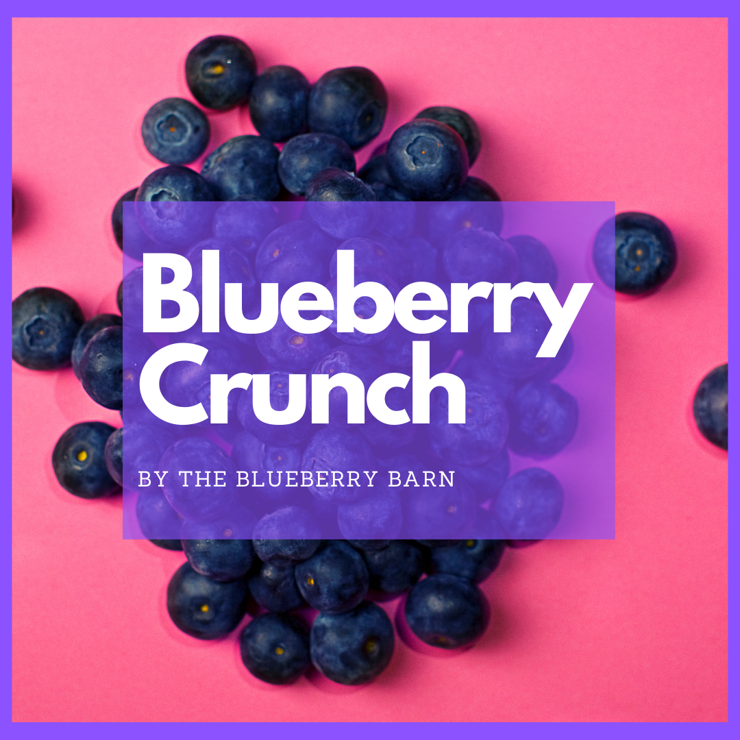 super quick recipe for blueberry crunch