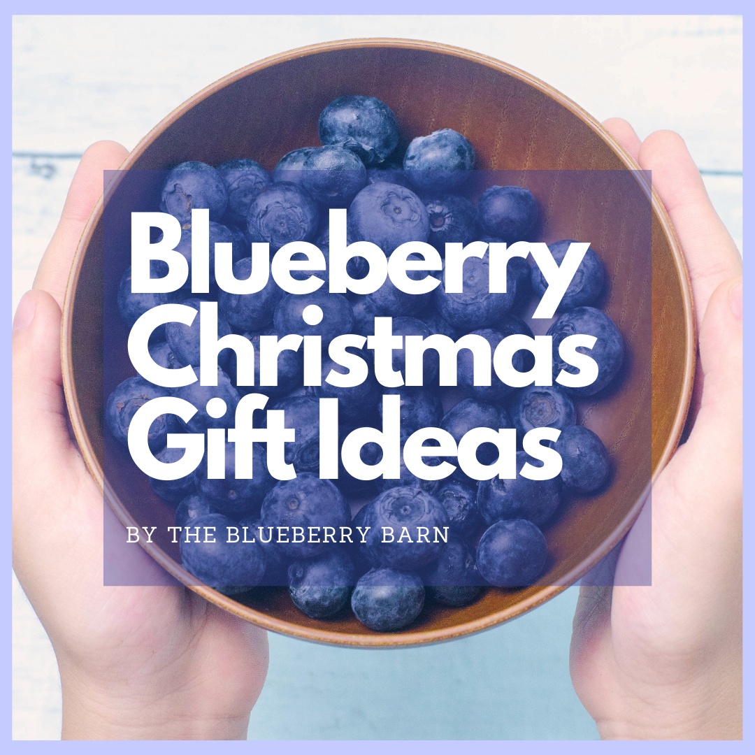 blueberry Christmas gift ideas. article by the blueberry barn