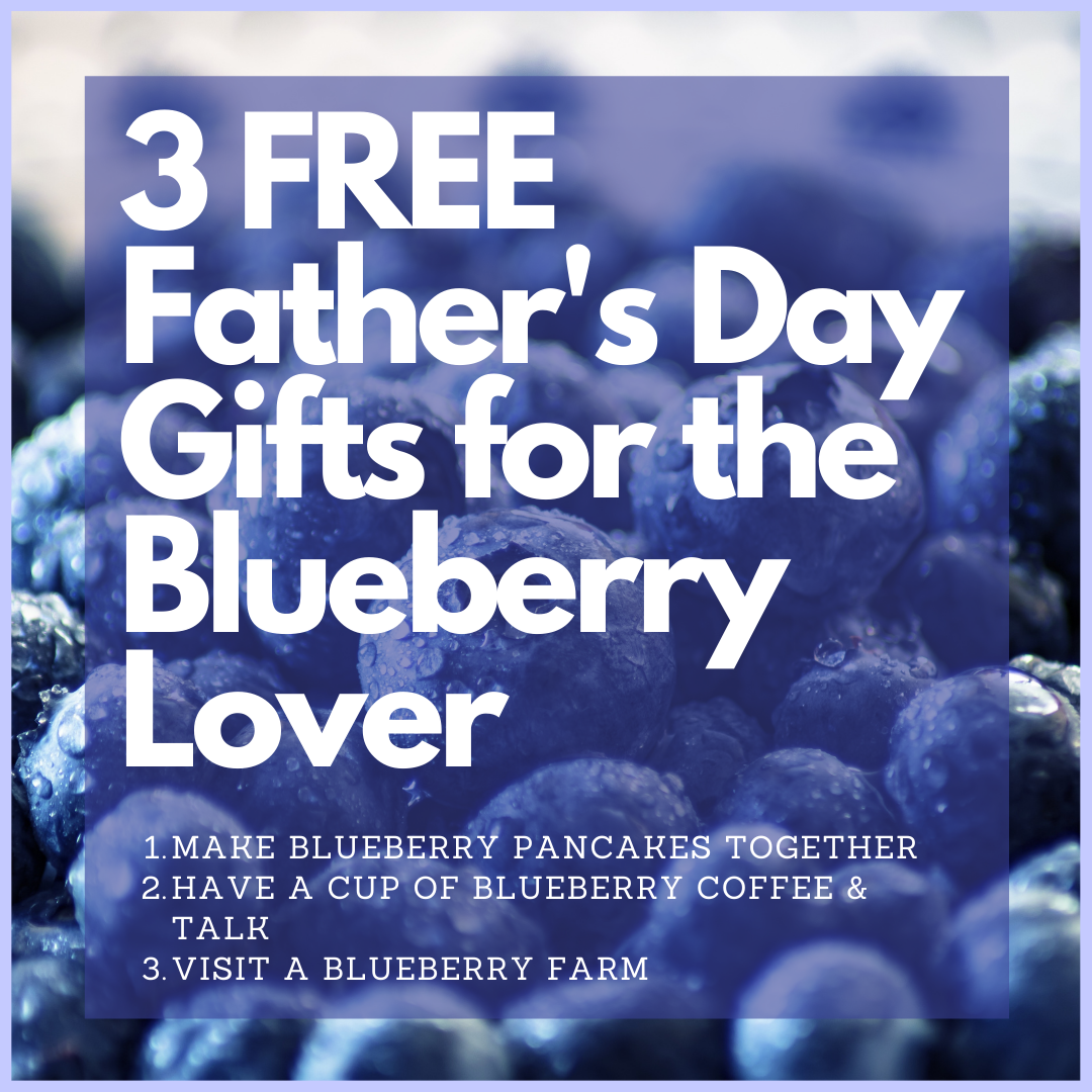 3 free father's day gift ideas from The Blueberry Barn