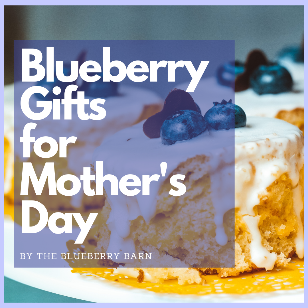 blueberry gift ideas for mother's day