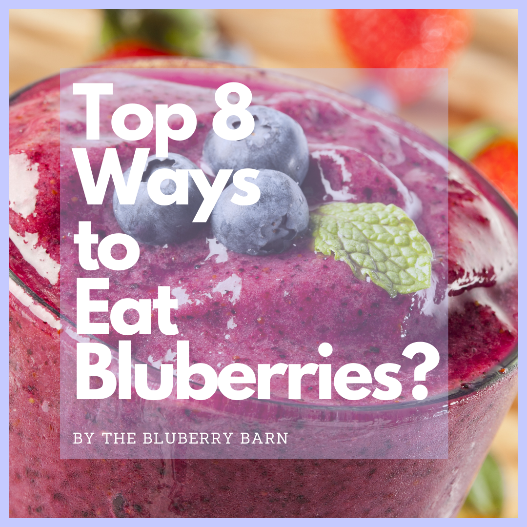 top 8 best ways to eat blueberries by The Blueberry Barn