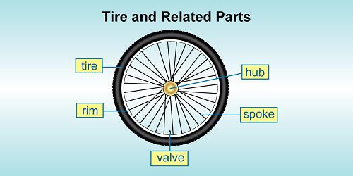 the distinctions between "bicycle wheel," "bicycle rim," and "bicycle hub"