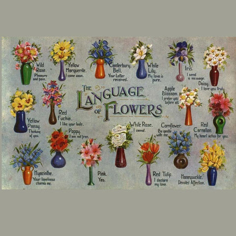 lenguaje de las flores