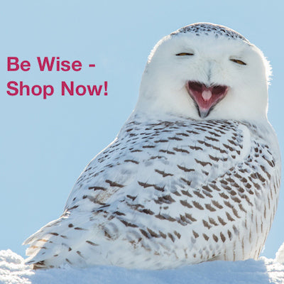 Be Wise Shop Now for Holiday