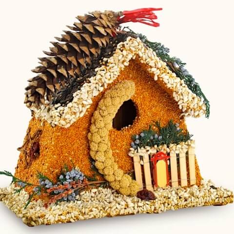 Bed and Breakfast Edible Birdhouse