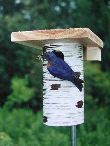 Gilbertson Nest Box