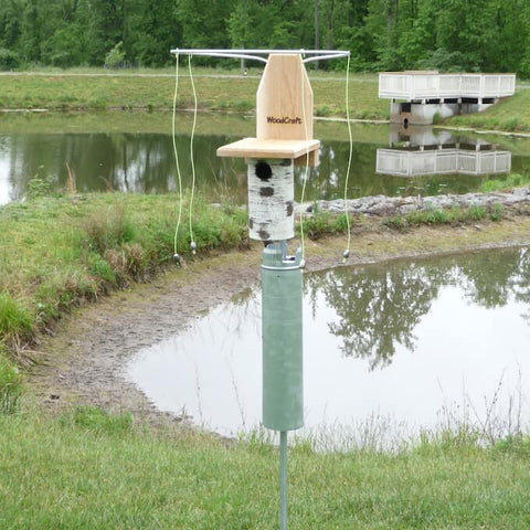 Gilbertson Nest Box with Sparrow Spooker