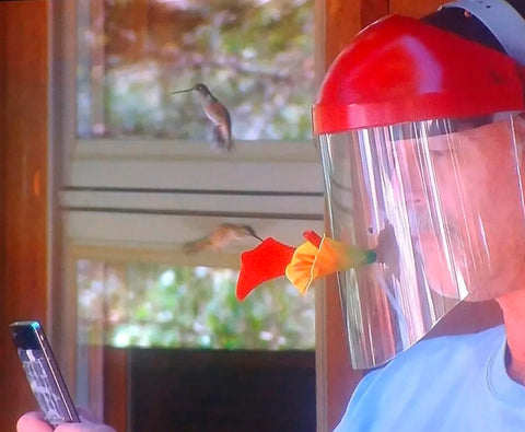 Humm-Viewer Hummingbird Feeder Mask