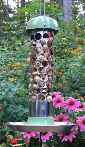 Whole Peanut Bird Feeder