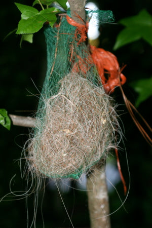 Horse hair is a favorite for soft nests