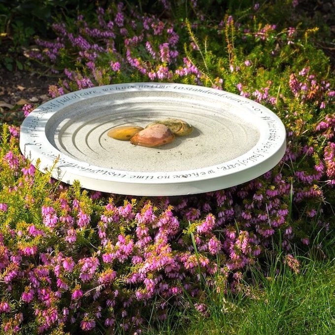 bird bath bowl