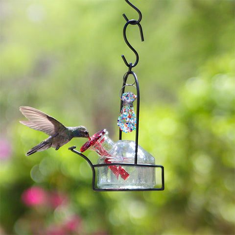  Hat Hummingbird Feeder, 2023 New Handheld Hummingbird