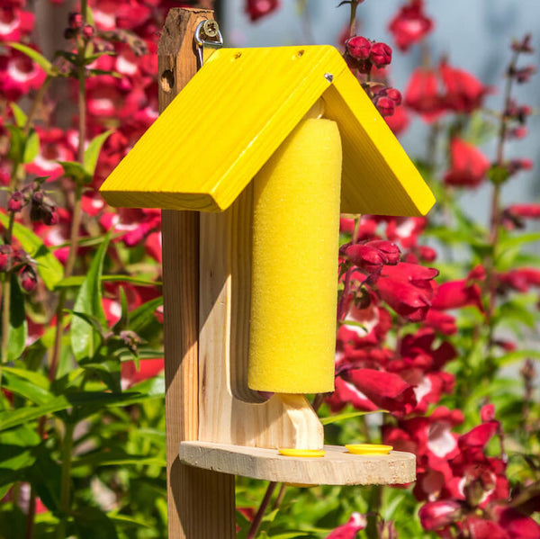 Butterfly And Bee Feeder Nectar Feeders Feed Butterflies And