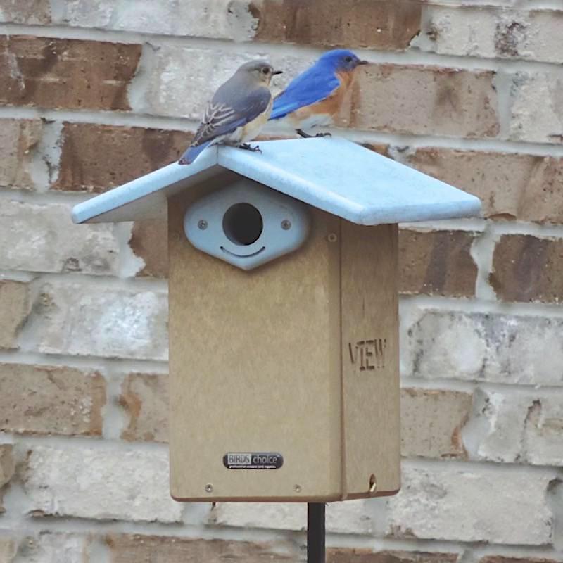 deluxe-reycled-bluebird-house-blue-bird-house-nabs-approved-houses