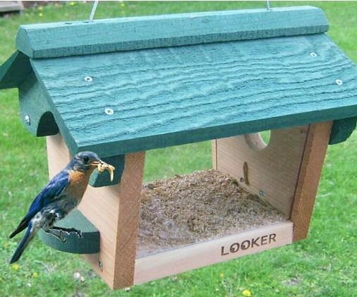 bluebird feeder hole size