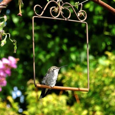 Mini-Blossom Hummingbird Feeders on Stake- 4 Colors - The