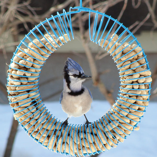 Whole Peanut Wreath Feeder The Birdhouse Chick