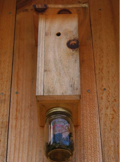 Carpenter Bee Trap – The Birdhouse Chick