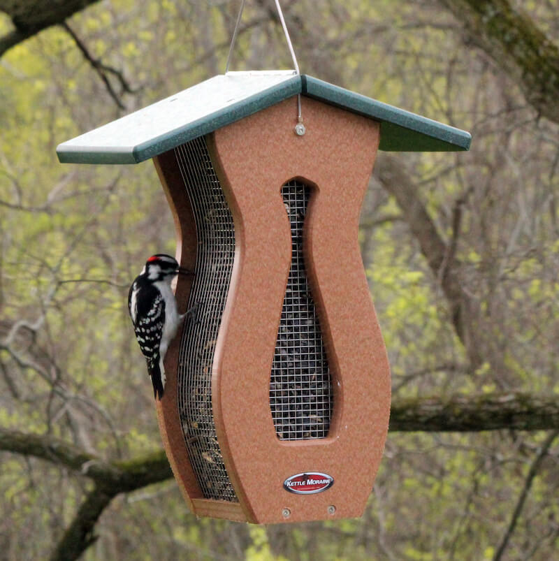 Peanut Bird Feeders Whole or Shelled Peanut Feeders The Birdhouse Chick