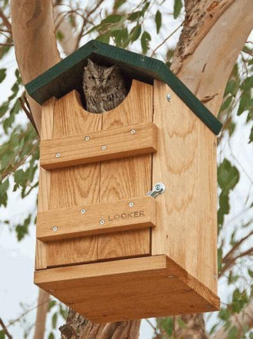 Owl Houses | Screech Owl House | Barn and Barred Owl Houses | Saw-Whet