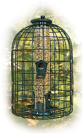 squirrel proof bird feeder cage