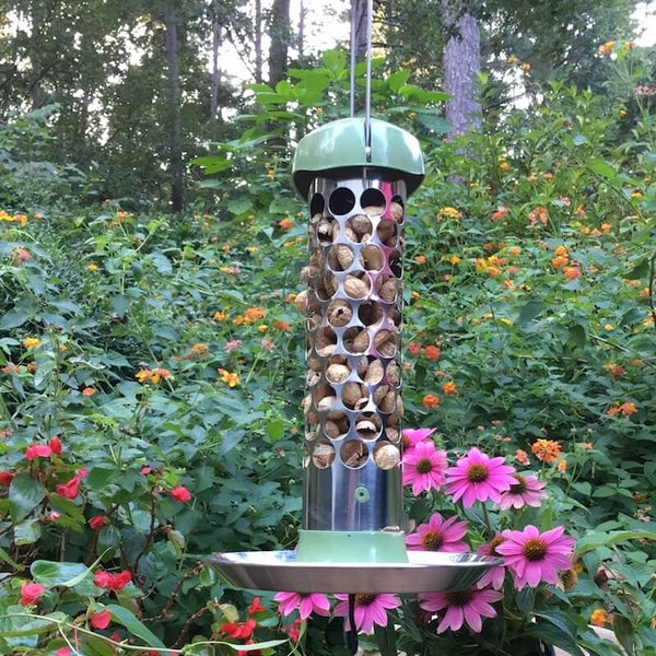 Stainless Steel Whole Peanut Bird Feeder Peanut In Shell Bird