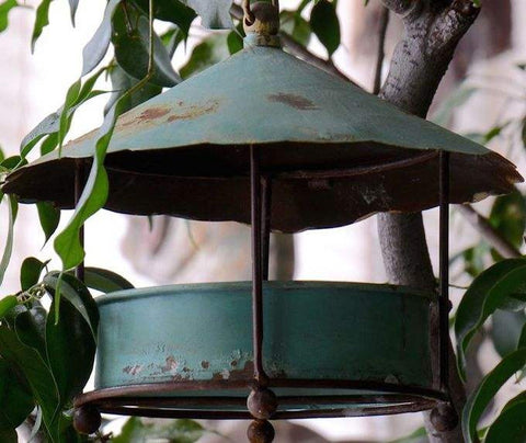 Decorative Cast Iron Plant Hook Bracket - Bird-feeder Hanger