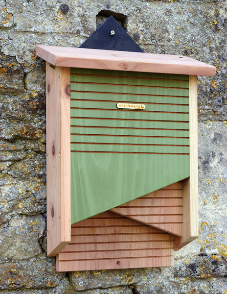 bat box houses bats chamber double plans build conservation building mailbox shelters kits bird craftsman visit natural