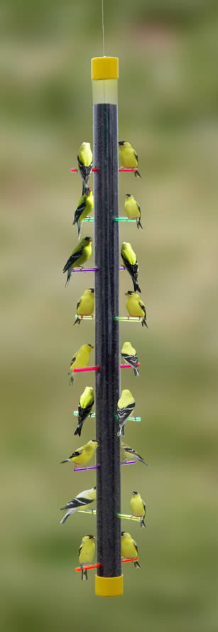 finch feeder